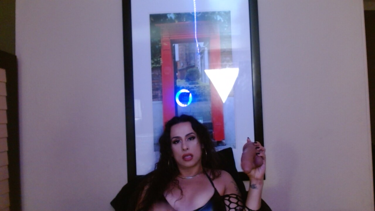 StefBunny